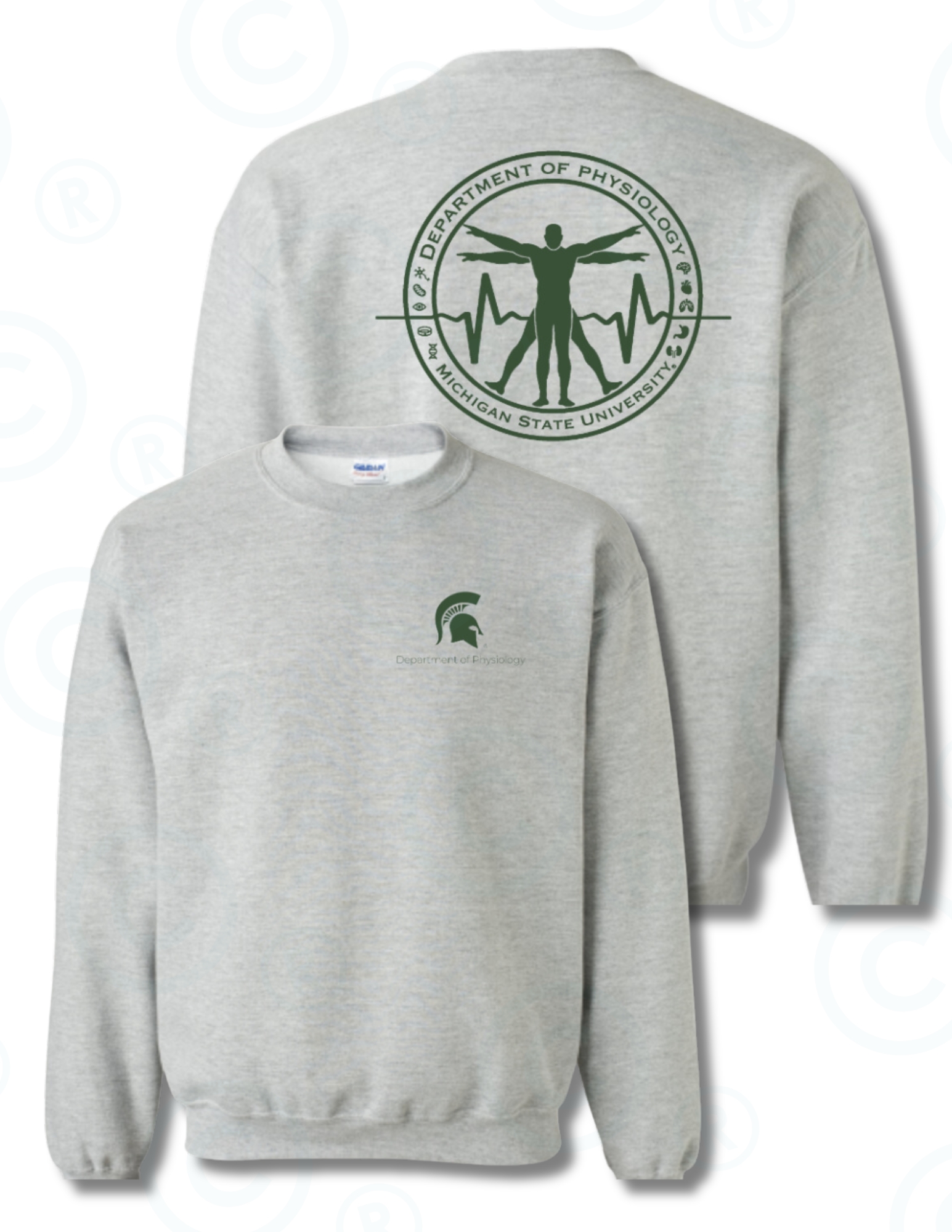 Grey Sweatshirt