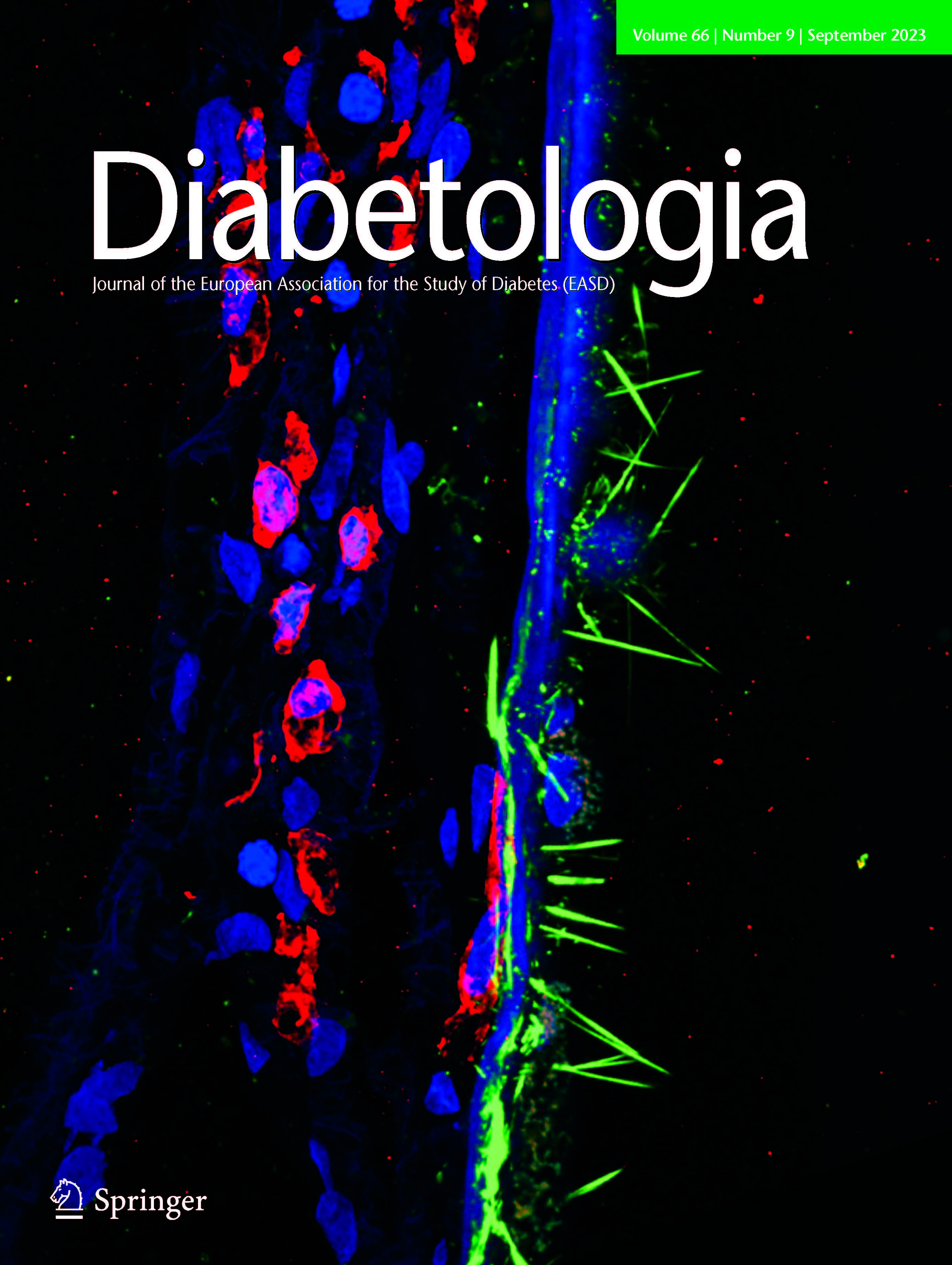The September 2023 issue of the journal Diabetologia which features an image taken by MSU graduate student Tim Dorweiler.