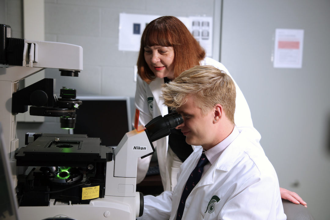 Department of Physiology Professor Julia Busik stands over graduate student Tim Dorweiler as he looks into a microscope. 