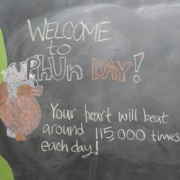 "Eighth annual "PhUn" Day provides engaging physiology activities and experiments"